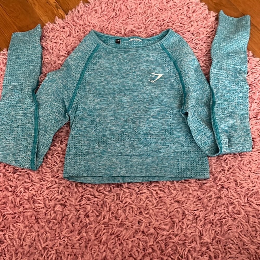 Light blue gym shark cropped long sleeve